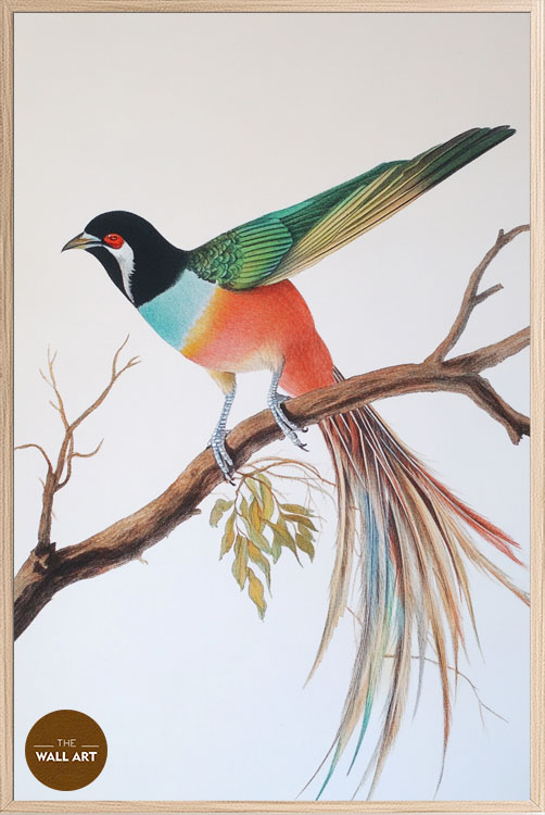 images/products/raindow_long_tail_bird/RAINDOW_LONG TAIL BIRD_OAK_P.jpg